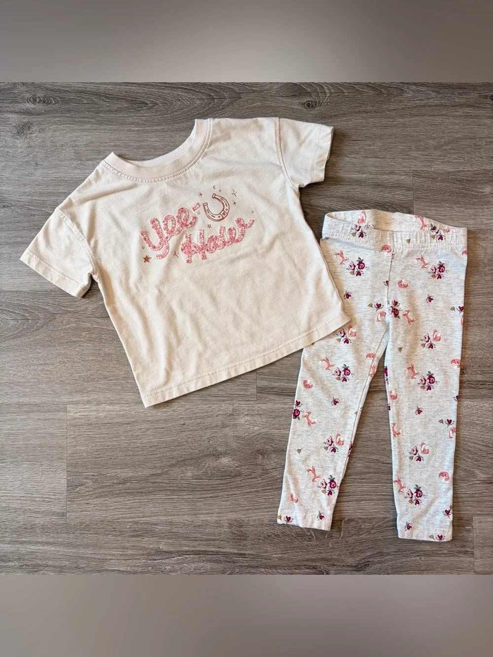 Cat & Jack/Carter's toddler girls outfit